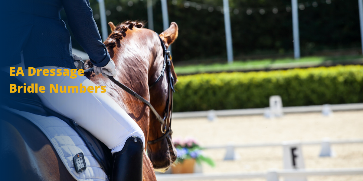EA Dressage Bridle Numbers Number Size Tolerance Equestrian Australia